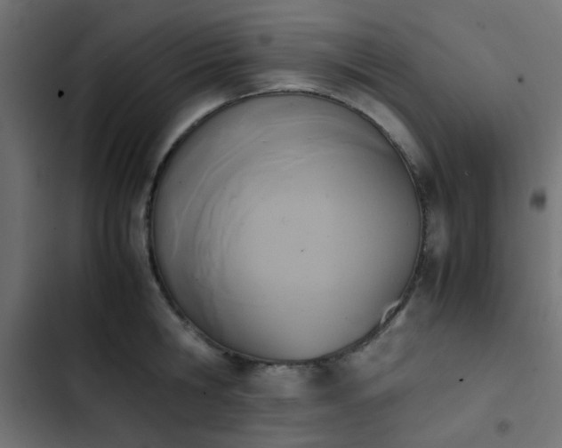 X0000103940806200809261724
