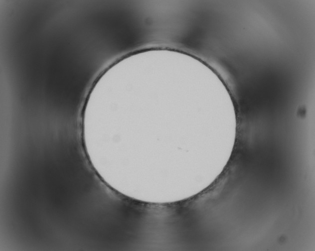 X0000103940807200809261724