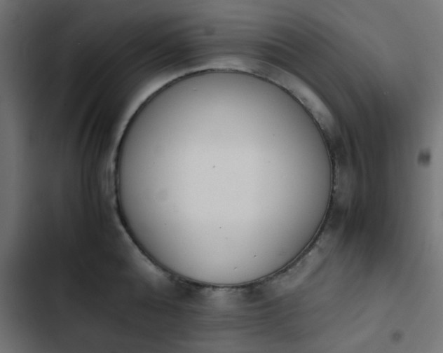 X0000103940808200809261724