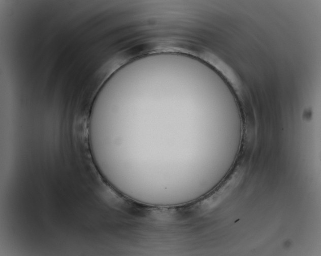 X0000103940809200809261724