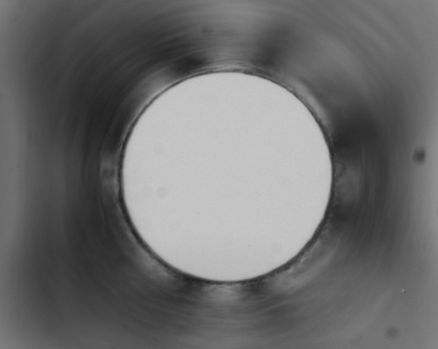 X0000103940810200809261724