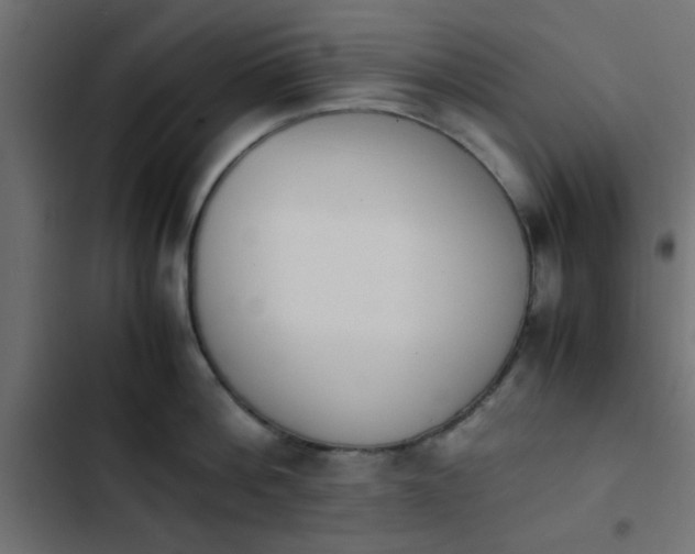 X0000103940812200809261724