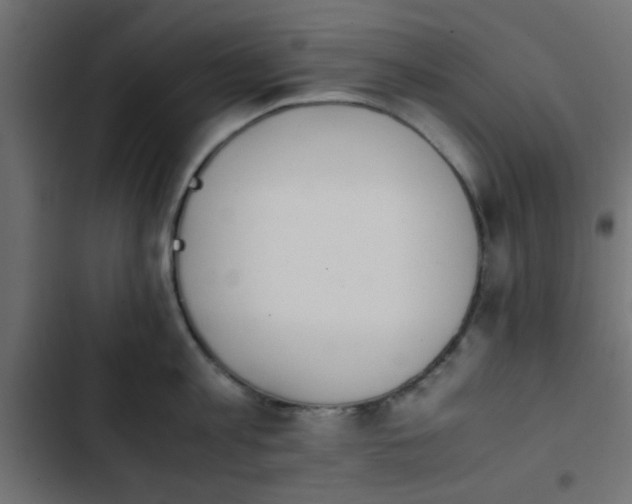 X0000103940813200809261724