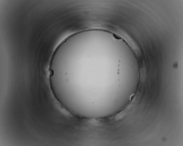 X0000103940814200809261724