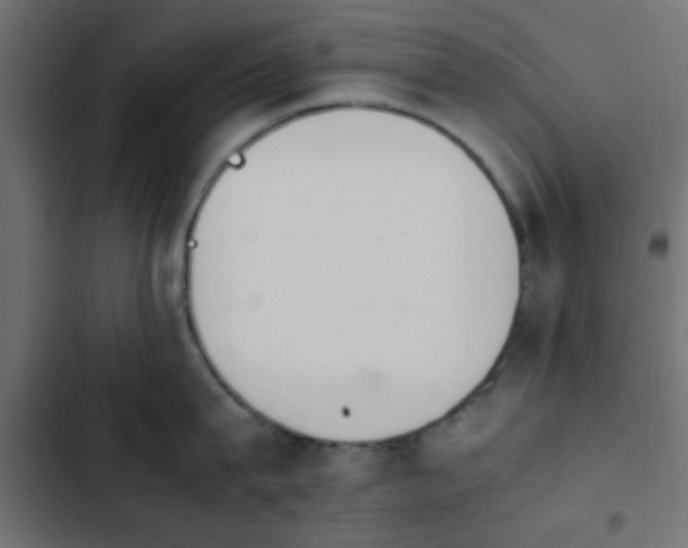 X0000103940815200809261724