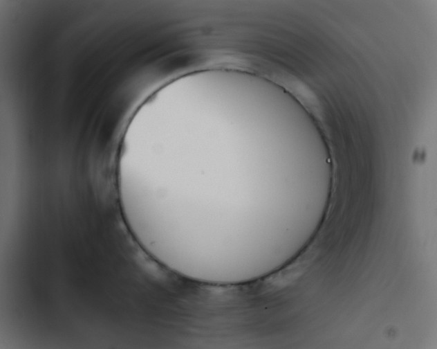 X0000103940816200809261724