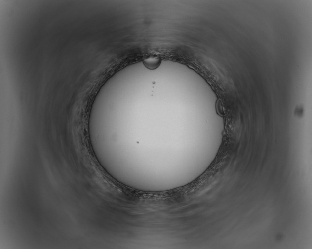 X0000103940817200809261723
