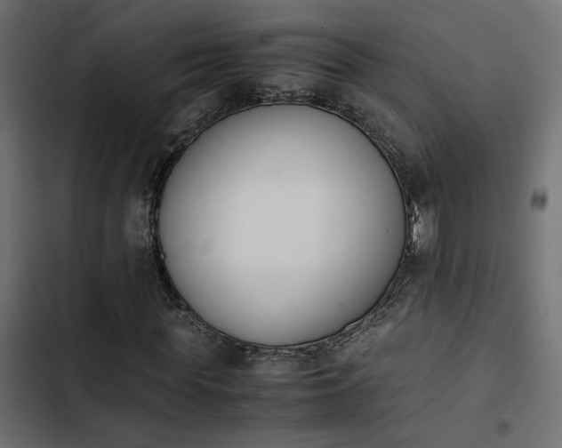 X0000103940819200809261723