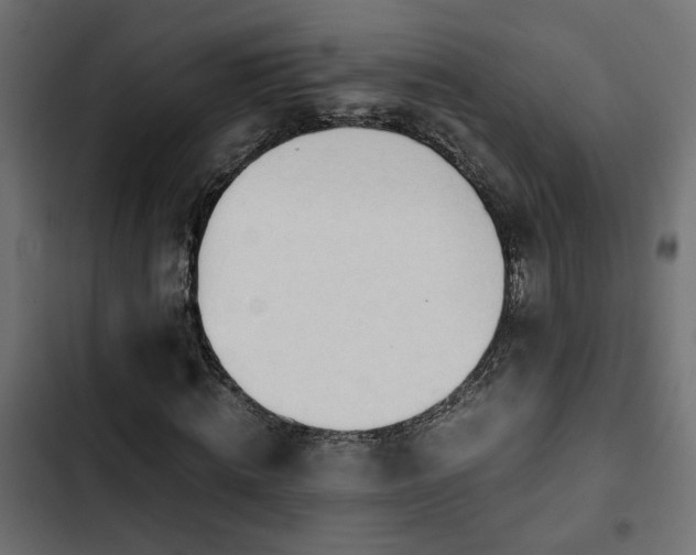 X0000103940820200809261723