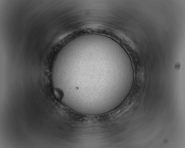 X0000103940822200809261723