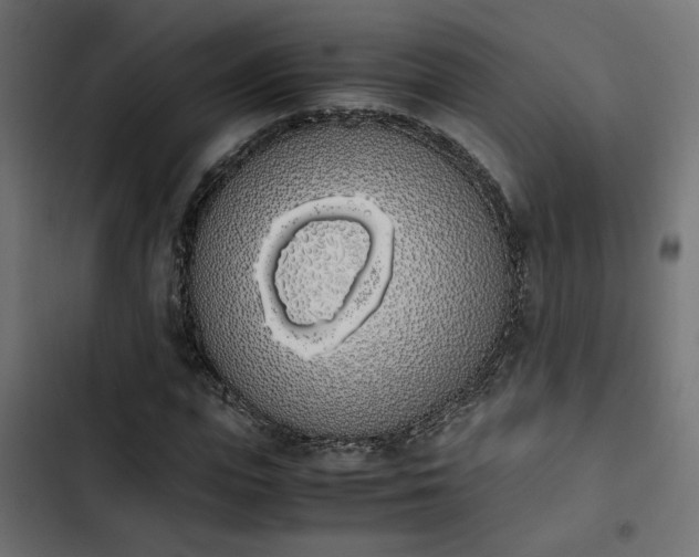 X0000103940823200809261723