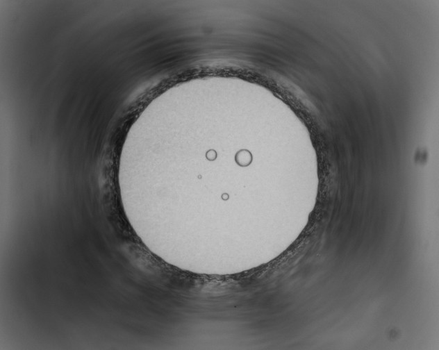 X0000103940824200809261723