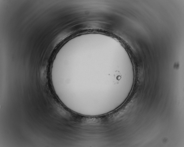 X0000103940826200809261723