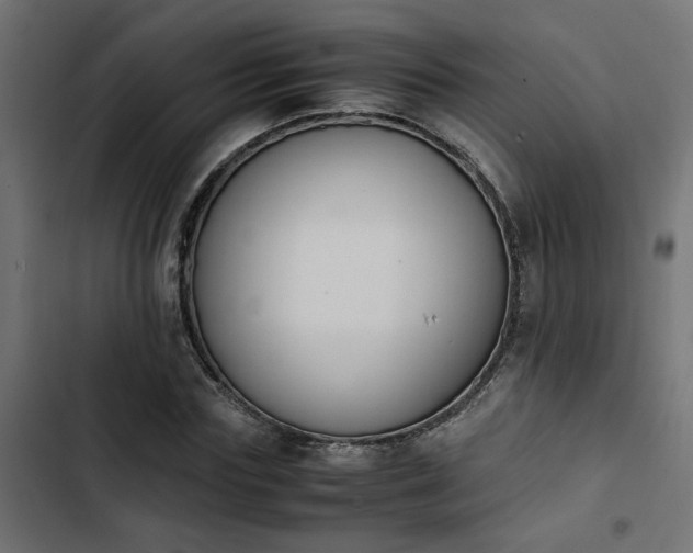 X0000103940827200809261723