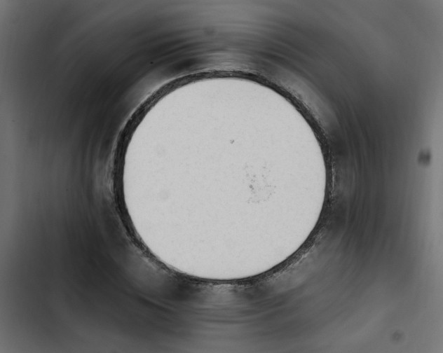 X0000103940828200809261723