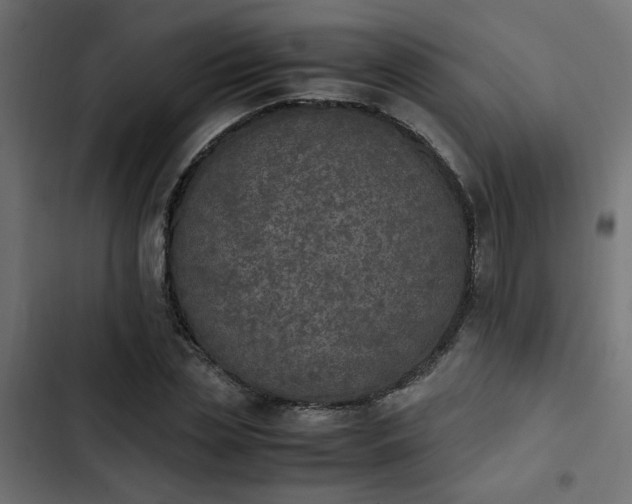 X0000103940829200809261723