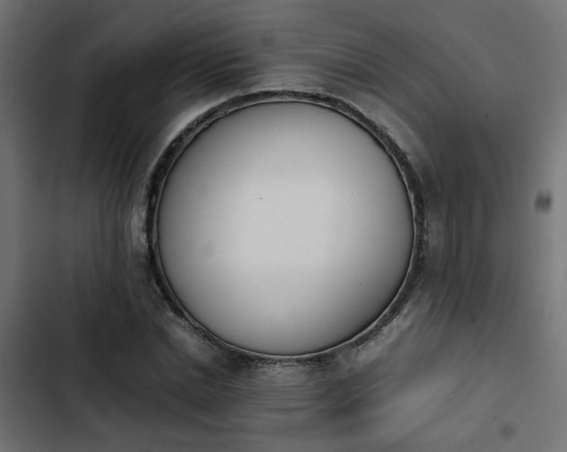 X0000103940830200809261723