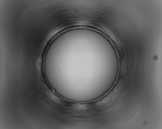 X0000103940831200809261723