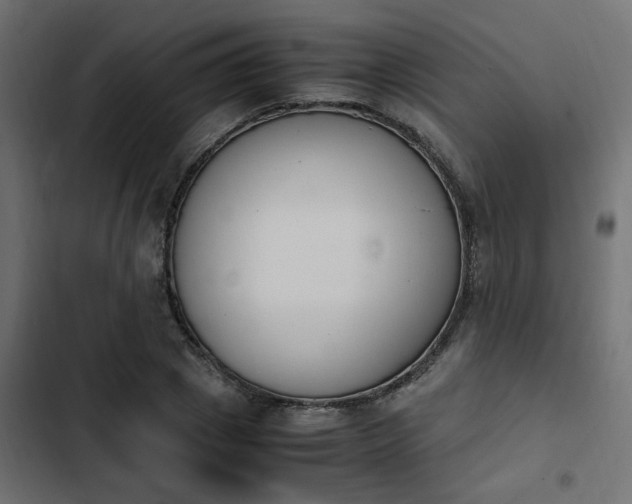 X0000103940833200809261723
