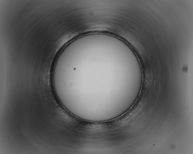 X0000103940834200809261723