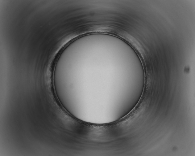 X0000103940835200809261723