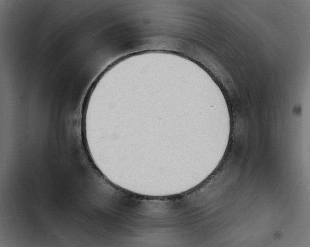 X0000103940836200809261723