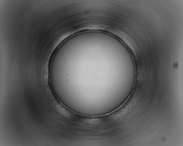 X0000103940837200809261723