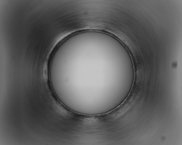 X0000103940838200809261723