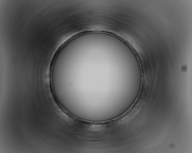 X0000103940839200809261723
