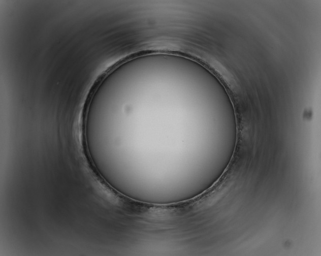 X0000103940840200809261723