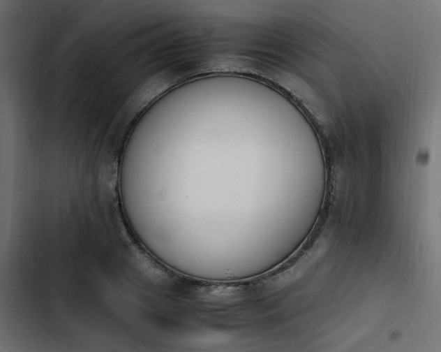 X0000103940841200809261724