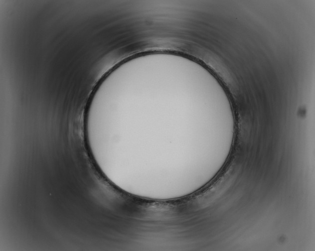 X0000103940842200809261724