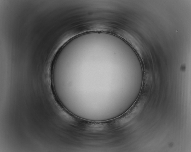X0000103940843200809261724