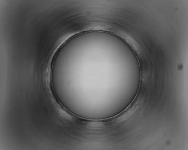 X0000103940844200809261724