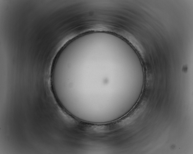 X0000103940845200809261724
