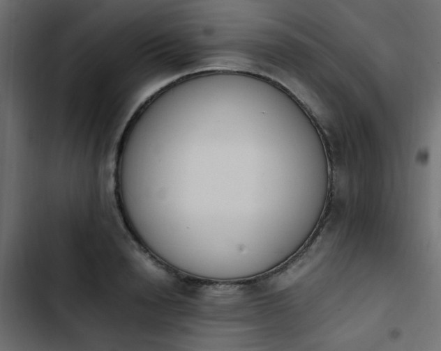 X0000103940846200809261724