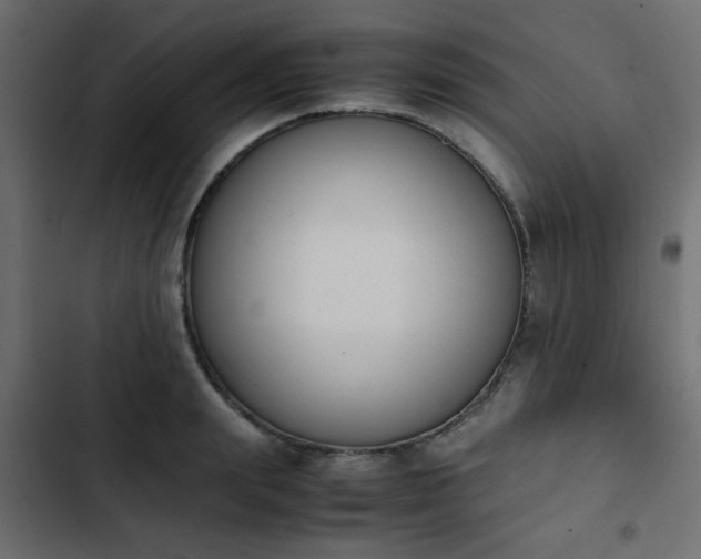 X0000103940847200809261724