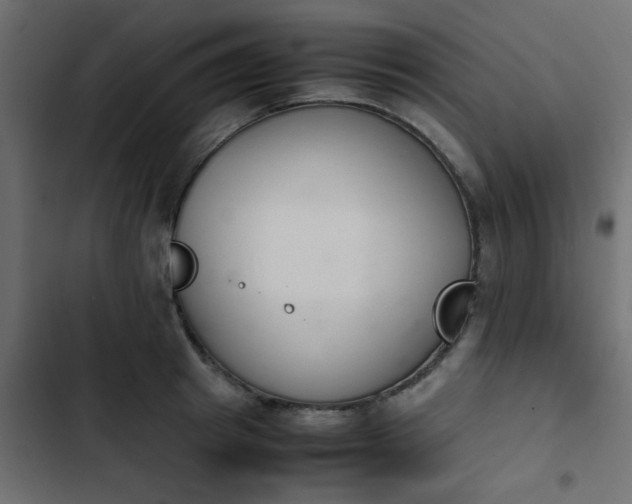 X0000103940849200809261724