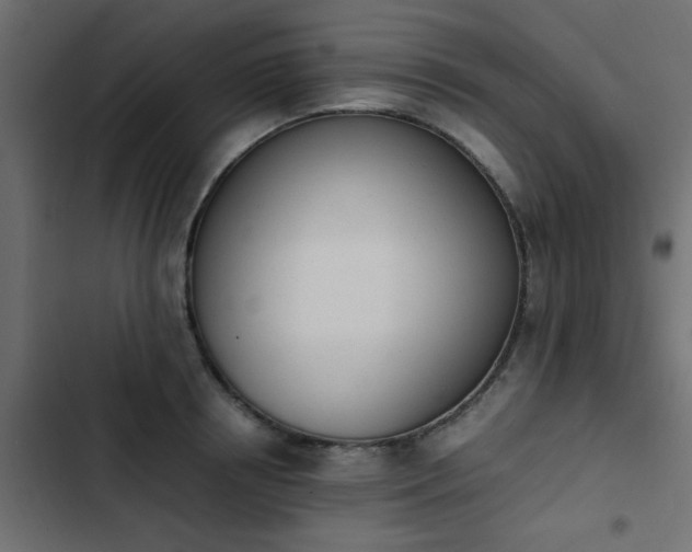 X0000103940850200809261724