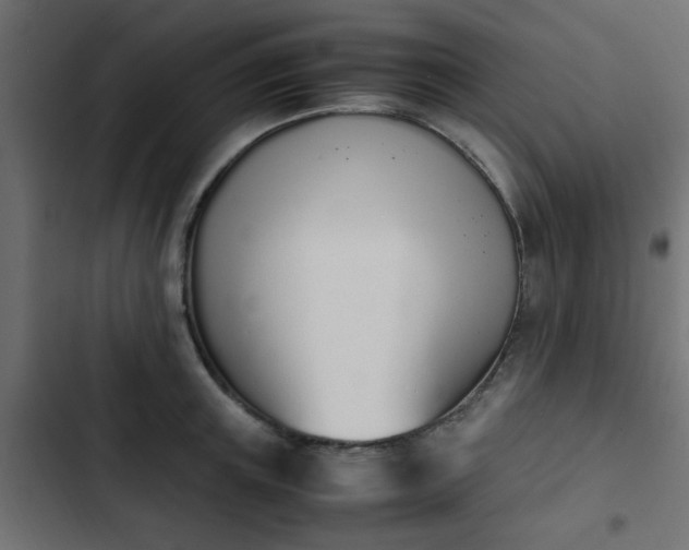 X0000103940851200809261724