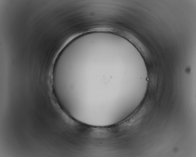 X0000103940852200809261724