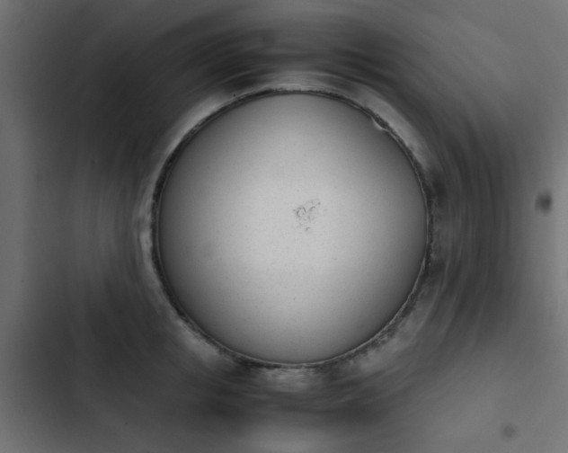 X0000103940853200809261724