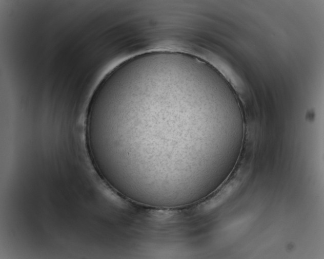 X0000103940854200809261724