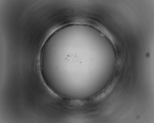 X0000103940855200809261724