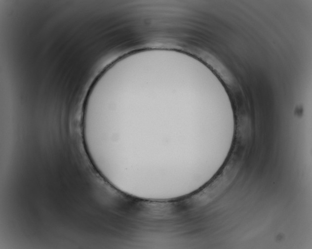 X0000103940856200809261724