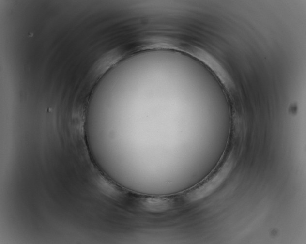 X0000103940857200809261724