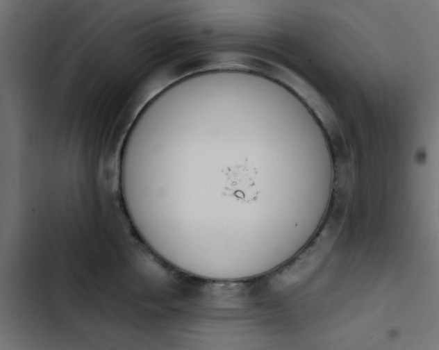 X0000103940858200809261724