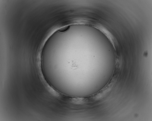 X0000103940859200809261724