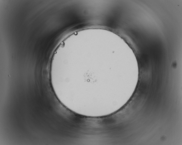 X0000103940860200809261724