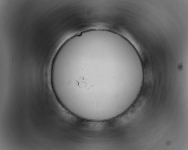 X0000103940861200809261724